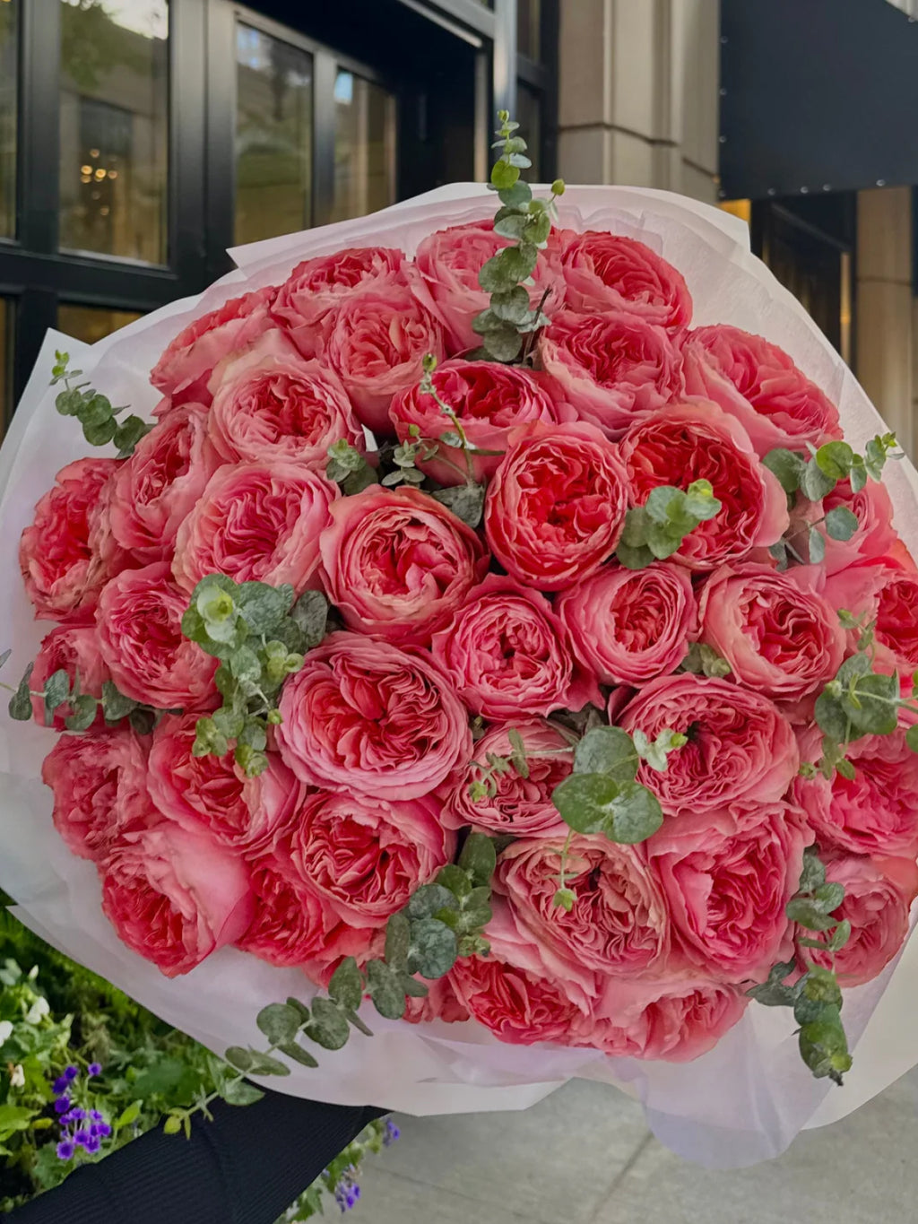 X-pression roses