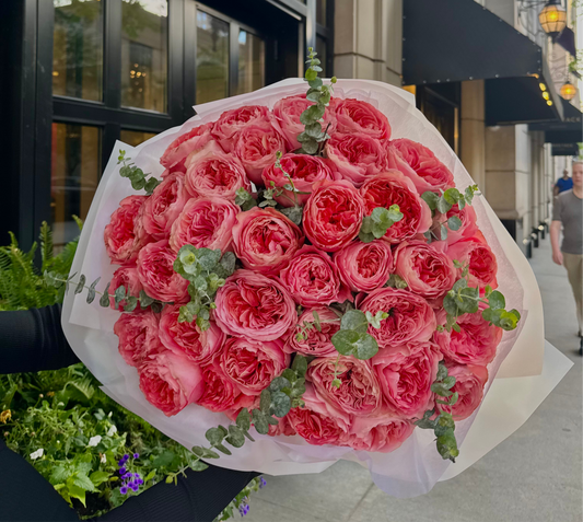 X-pression roses
