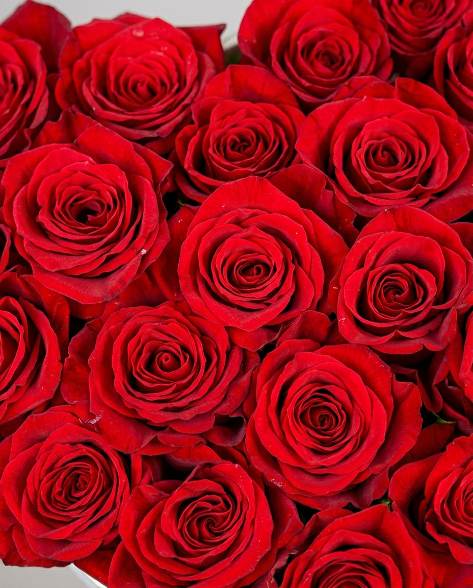 Heart Shaped Red Rose Box