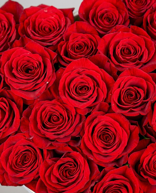 Heart Shaped Red Rose Box