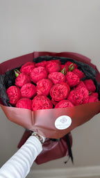 Scarlet Symphony Piano Roses
