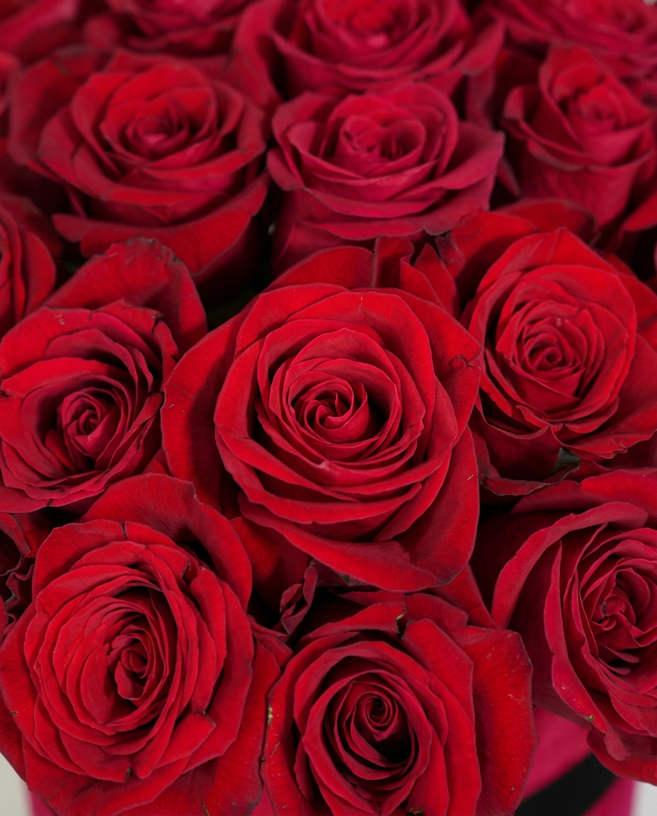 Signature Luxury Rose Box