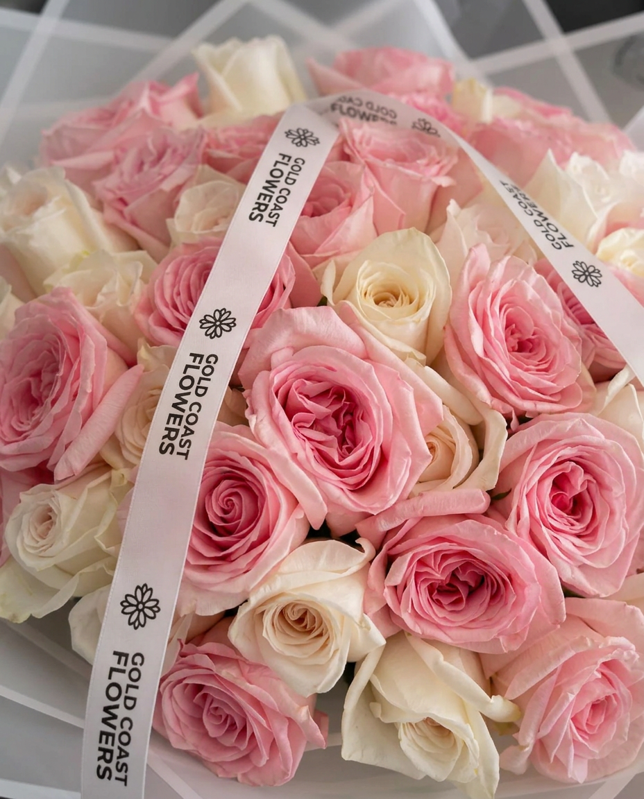 50 White & Pink O'Hara Garden Roses