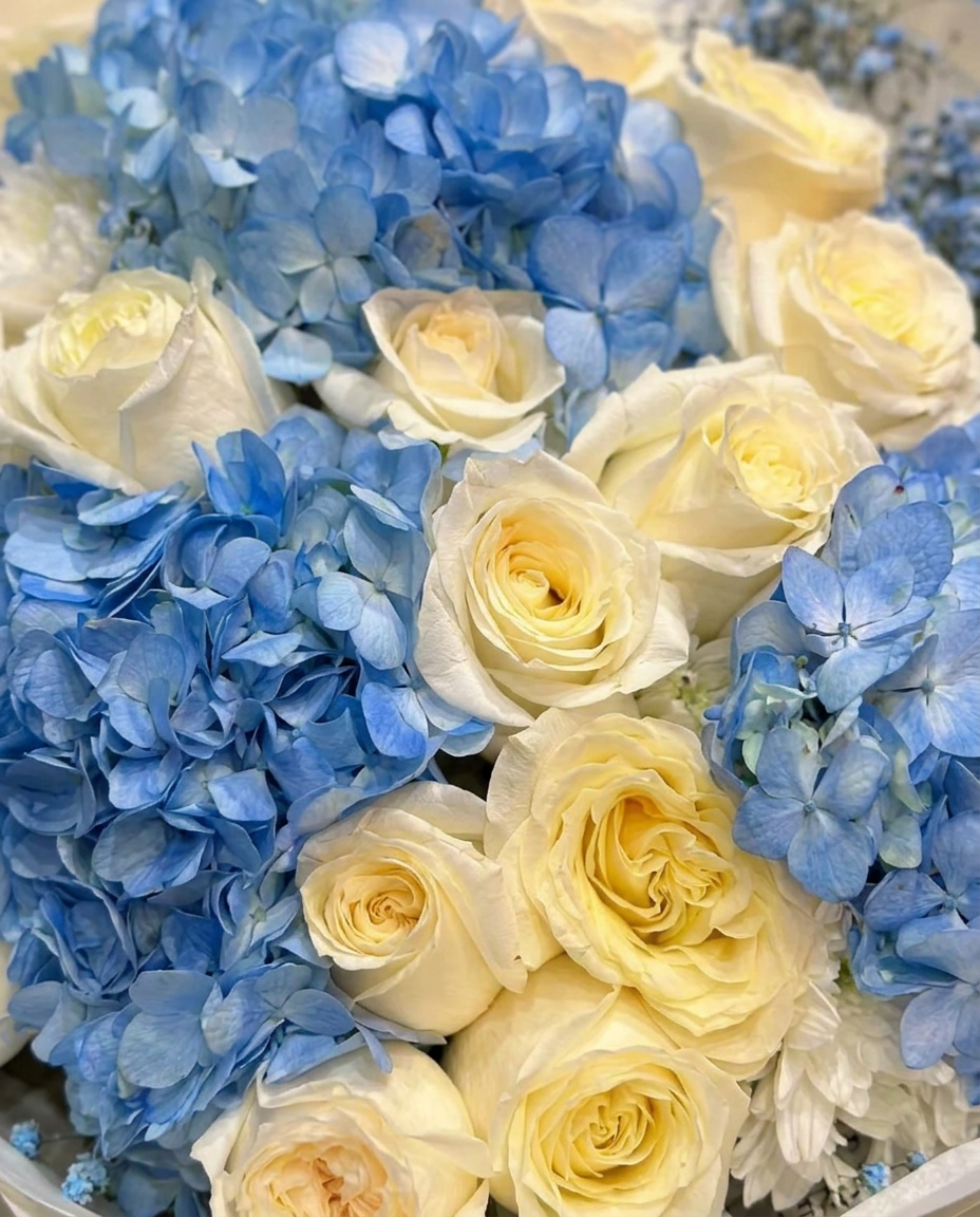 Blushing Beauty Hydrangea Bouquet